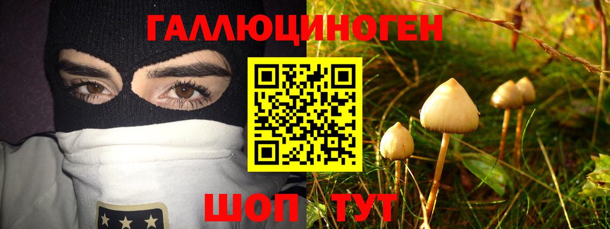 Галлюциногенные грибы Magic Shrooms Кубинка