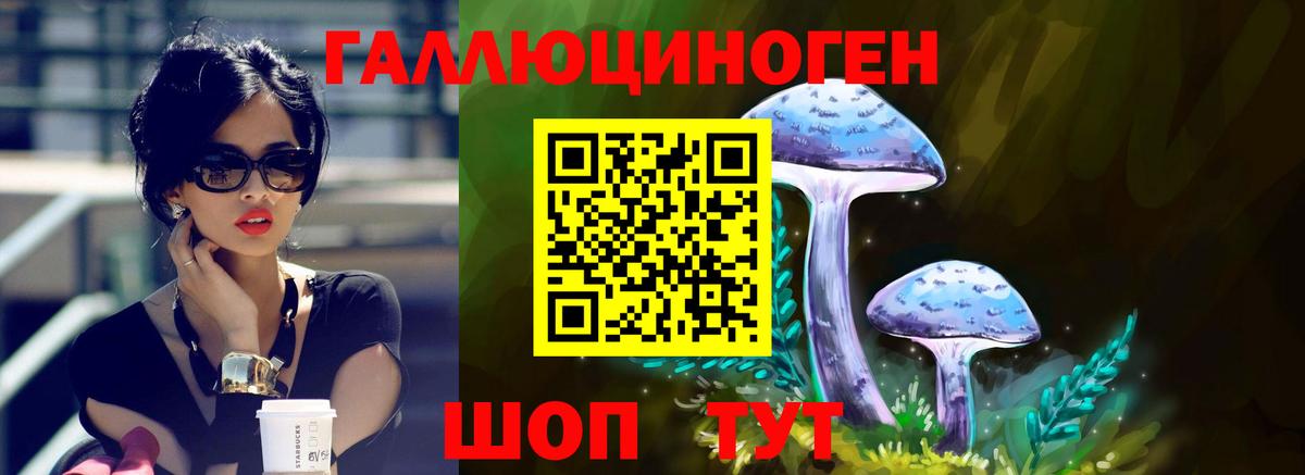 Кубинка  Псилоцибиновые грибы Psilocybe  Вход с VPN 
